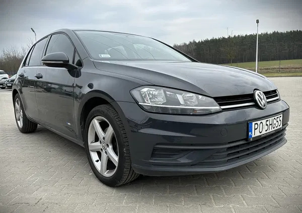 wielkopolskie Volkswagen Golf cena 59500 przebieg: 65672, rok produkcji 2018 z Suwałki